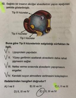 12. Sağlıklı bir insanın akciğer alveollerinin yapısı aşağıdaki
şekilde gösterilmiştir.
Tip III hücreler
Tip II hücreler
Tip I hücreler
Buna göre Tip II hücrelerinin salgıladığı sürfaktan ile
ilgili,
V. Lipoprotein yapıdadır.
V 1. Yüzey gerilimini azaltarak alveollerin daha rahat
şişmesini sağlar.
V.
III. Nefes verme sırasında alveollerin yapışmasını
engeller.
Viv
. Kandaki suyun atmosfere verilmesini kolaylaştırır.
ifadelerinden hangileri doğrudur?
A) I ve II
B) III ve IV
C) I, II ve III
D) II, III ve IV E) VII, III ve IV
