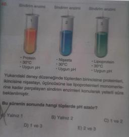 40
Sindirim enzimi
Sindirim enzimi
Sindirim enzim
2
3
• Protein
• 30°C
• Uygun pH
.
• Nişasta
• 30°C
• Uygun pH
Lipoprotein
- 30°C
• Uygun pH
Yukandaki deney düzeneğinde tüplerden birincisine proteinleri,
ikincisine nişastayı, üçüncüsüne ise lipoproteinleri monomerle-
rine kadar parçalayan sindirim enzimleri konularak yeterli süre
beklenilmiştir.
Bu sürenin sonunda hangi tüplerde pH azalır?
Yalnız 1
B) Yalnız 2
C) 1 ve 2
D) 1 ve 3
E) 2 ve 3
