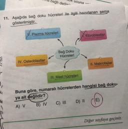 bağlı değio:-
ucuna
11. Aşağıda bağ doku hücreleri ile ilgili hazırlanan şema
gösterilmiştir.
V. Plazma hücreleri
Fibroblastlar
Bağ Doku
Hücreleri
IV. Osteoblastlar
II. Makrofajlar
Ill. Mast hücreleri
.
ke
JE
Buna göre, numaralı hücrelerden hangisi bağ doku-
ya ait değildir?
A) V B) I C) III D) II
E)
Diğer sayfaya geçiniz.
