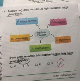 bağlı değio:-
ucuna
11. Aşağıda bağ doku hücreleri ile ilgili hazırlanan şema
gösterilmiştir.
V. Plazma hücreleri
Fibroblastlar
Bağ Doku
Hücreleri
IV. Osteoblastlar
II. Makrofajlar
Ill. Mast hücreleri
.
ke
JE
Buna göre, numaralı hücrelerden hangisi bağ doku-
ya ait değildir?
A) V B) I C) III D) II
E)
Diğer sayfaya geçiniz.
