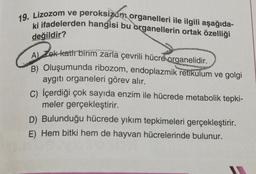 19. Lizozom ve peroksizom organelleri ile ilgili aşağıda-
ki ifadelerden hangisi bu organellerin ortak özelliği
değildir?
A) Zok katir birim zarla çevrili hücre
organelidir.
B) Oluşumunda ribozom, endoplazmik retikulum ve golgi
aygıtı organeleri görev alır.
C) İçerdiği çok sayıda enzim ile hücrede metabolik tepki-
meler gerçekleştirir.
D) Bulunduğu hücrede yıkım tepkimeleri gerçekleştirir.
E) Hem bitki hem de hayvan hücrelerinde bulunur.