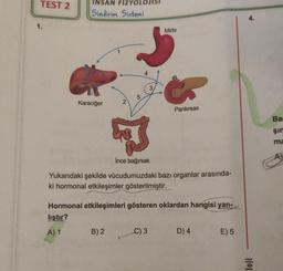 TEST 2
INSAN FIZY
Sindirim Sistemi
1.
Mide
3
Karaciğer
2
Pankreas
Ba
şin
ma
İnce bağırsak
Yukarıdaki şekilde vücudumuzdaki bazı organlar arasında-
ki hormonal etkileşimler gösterilmiştir.
Hormonal etkileşimleri gösteren oklardan hangisi yan-
lıştır?
A) 1 B) 2 C) 3
D) 4
E) 5
loji
