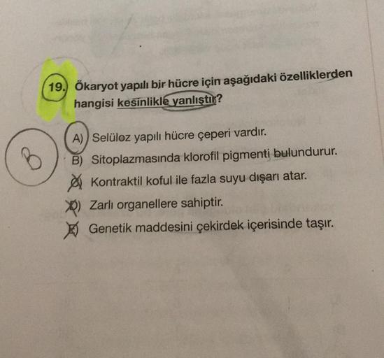 19. Ökaryot yapılı bir hücre için aşağıdaki ö… Lise Matematik 19. Ökaryot yapılı bir hücre için aşağıdaki ö… Lise Matematik