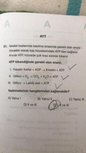 A
A
AYT
31. Iskelet kaslarında kaailma sırasında gerekli olan enerji
öncelikli olarak kas hücrelerindeki ATP'den sağlanır.
Ancak ATP hücrede çok kısa sürede tükenir.
ATP tükendiğinde gerekli olan enerji,
Keratin fosfat ADP Kreatin + ATP
II. Glikoz + 0, 0,