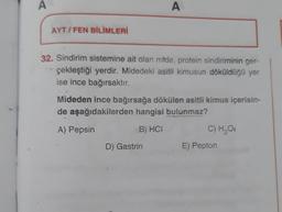 A
A
A
AYT / FEN BİLİMLERİ
32. Sindirim sistemine ait olan mide, protein sindiriminin ger-
çekleştiği yerdir. Midedeki asitli kimusun döküldüğü yer
ise ince bağırsaktır.
Mideden ince bağırsağa dökülen asitli kimus içerisin-
de aşağıdakilerden hangisi bulunmaz?
A) Pepsin
B) HCI
C) H2O
D) Gastrin
E) Pepton