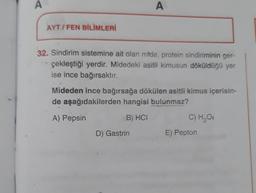 A
A
A
AYT / FEN BİLİMLERİ
32. Sindirim sistemine ait olan mide, protein sindiriminin ger-
çekleştiği yerdir. Midedeki asitli kimusun döküldüğü yer
ise ince bağırsaktır.
Mideden ince bağırsağa dökülen asitli kimus içerisin-
de aşağıdakilerden hangisi bulunmaz?
A) Pepsin
B) HCI
C) H2O
D) Gastrin
E) Pepton
