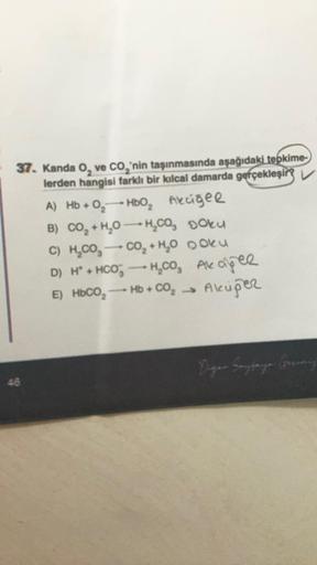 37. Kanda o, ve CO, 'nin taşınmasında aşağıdaki tepkime-
lerden hangisi farklı bir kılcal damarda gerçekleşir
A) Hb+0,- HBO, Aeugel
0— Akciğer
B) CO, +H,O—H,CO, Doku
C) H,Co, - CO2 + H20 Doku
D) H* + HCO3 ---H.CO, Akaper
HỒ
H₂co,
E) HbCO, Hb+CO Akciğer
Den