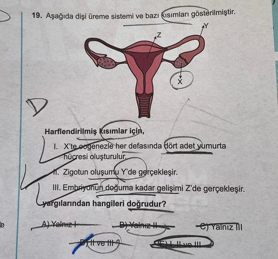 19. Aşağıda dişi üreme sistemi ve bazı kısımları gösterilmiştir.
AZ
D
Harflendirilmiş kısımlar için,
1. X'te oogenezle her defasında dört adet yumurta
hücresi oluşturulur.
11. Zigotun oluşumu Y'de gerçekleşir.
III. Embriyonun doğuma kadar gelişimi Z'de ger