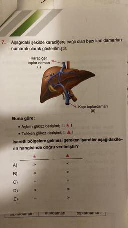 7. Aşağıdaki şekilde karaciğere bağlı olan bazı kan damarları
numaralı olarak gösterilmiştir.
Karaciğer
toplar damari
0
E
Kapı toplardamarı
(11)
Buna göre;
• Açken glikoz derişimi; II
• Tokken glikoz derişimi; II AT
işaretli bölgelere gelmesi gereken işaretler aşağıdakile-
rin hangisinde doğru verilmiştir?
A)
B)
C)
V 11 V HI
VA LIIA
D)
E)
topiardaran
ataraamari
toplaraamat
