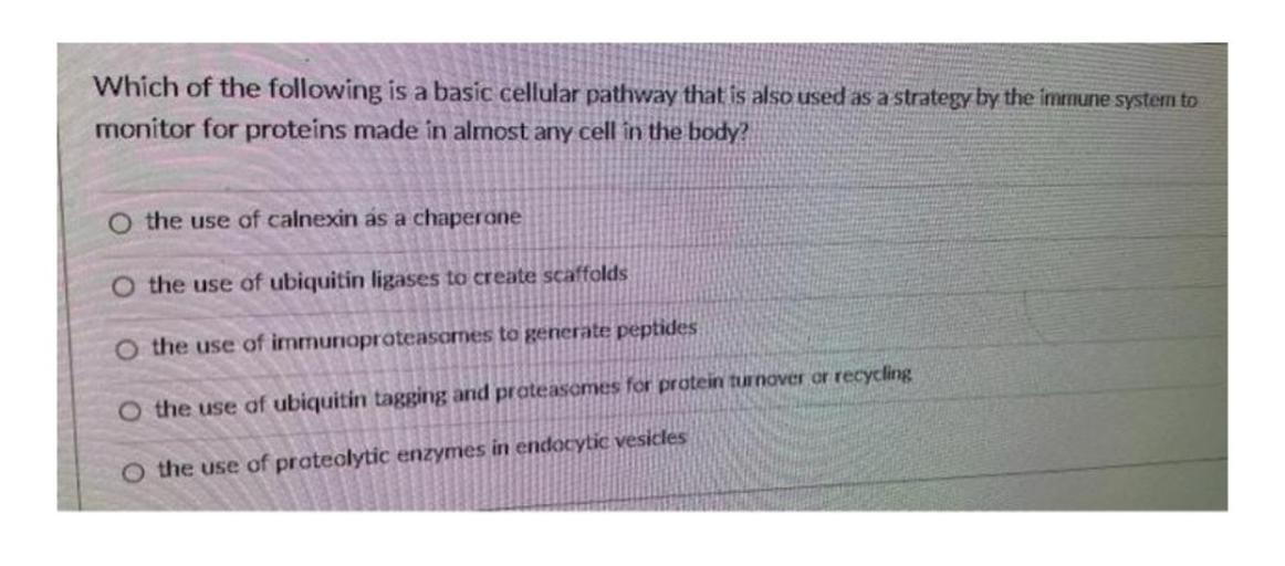 Which of the following is a basic cellular pathway that is also used as a strategy by the immune system to
monitor for proteins made in almost any cell in the body?
o the use of calnexin as a chaperone
the use of ubiquitin ligases to create scaffolds
o the use of immunoproteasomes to generate peptides
O the use of ubiquitin tagging and prateasames for protein turnover or recycling
O the use of proteolytic enzymes in endocytic vesicles