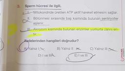 3.
i
Sperm hücresi ile ilgili,
I Mitokondride üretilen ATP aktif hareket etmesini sağlar.
II. Bölünmesi sırasında baş kısmında bulunan sentriyoller
eşlenir.
Akrozom kısmında bulunan enzimler yumurta zarını eri-
tir.
ifadelerinden hangileri doğrudur?
vain
A
AVYalnız 1x
B) Yalnız 11
C) Yalnız III
PALME
YAYINEVİ
D) I ve IIA
E) I ve III