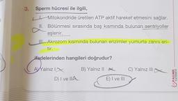 3.
i
Sperm hücresi ile ilgili,
I Mitokondride üretilen ATP aktif hareket etmesini sağlar.
II. Bölünmesi sırasında baş kısmında bulunan sentriyoller
eşlenir.
Akrozom kısmında bulunan enzimler yumurta zarını eri-
tir.
ifadelerinden hangileri doğrudur?
vain
A
AVYalnız 1x
B) Yalnız 11
C) Yalnız III
PALME
YAYINEVİ
D) I ve IIA
E) I ve III
