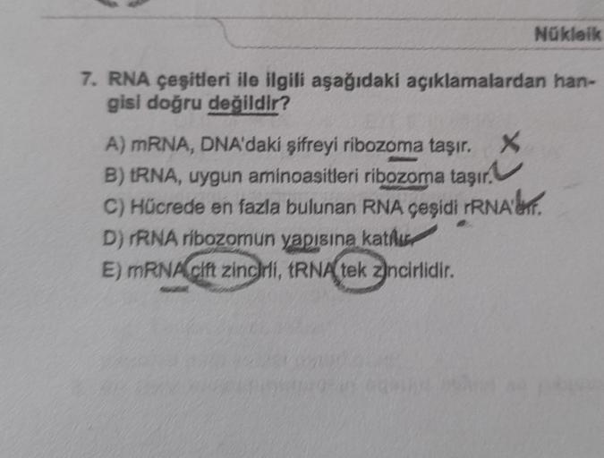 Nükleik
7. RNA çeşitleri ile ilgili aşağıdaki açıklamalardan han-
gisl doğru değildir?
A) MRNA, DNA'daki şifreyi ribozoma taşır. X
B) IRNA, uygun aminoasitleri ribozora taşır.
C) Hücrede en fazla bulunan RNA çeşidi rRNA.
D) TRNA ribozorun yapısına kati
E) 