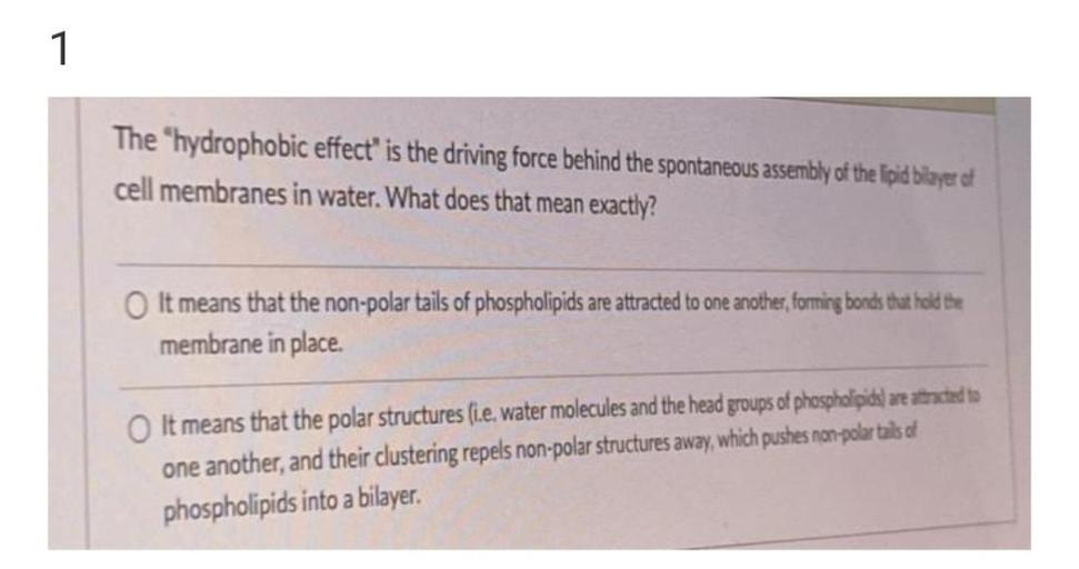 1
The "hydrophobic effect" is the driving force behind the spontaneous assembly of the lipid bilayer et
cell membranes in water. What does that mean exactly?
It means that the non-polar tails of phospholipids are attracted to one another, forming bonds that hold the
membrane in place.
O It means that the polar structures (i.e. water molecules and the head groups of phospholipids) are atracted to
one another, and their clustering repels non-polar structures away, which pushes non-polar tals of
phospholipids into a bilayer.