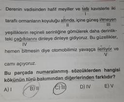 Derenin vadisinden hafif meyiller ve tatlı kavislerle iki
taraflı ormanların koyuluğu altında, içine güneş inmeyen
II
III
yeşilliklerin reçineli serinliğine gömülerek daha derinlik-
teki çağıltılarını dinleye dinleye gidiyoruz. Bu güzellikler,
IV
hemen bitmesin diye otomobilimiz yavaşça ilerliyor ve
V
camı açıyoruz.
Bu parçada numaralanmış sözcüklerden hangisi
kökünün türü bakımından diğerlerinden farklıdır?
A) I B) II C) 111
) D) IV E) V