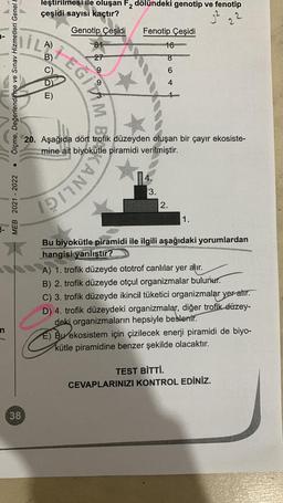 leştirilmesi ile oluşan F2 dölündeki genotip ve fenotip
çeşidi sayısı kaçtır?
² z 2
Genotip Çeşidi Fenotip Çeşidi
81
16
27
9
6
8
Olçme, Değerlendirme ve Sınav Hizmetleri Genel
Ioan
4
IEGTUM Bš
20. Aşağıda dört trofik düzeyden oluşan bir çayır ekosiste-
mine ait biyokütle piramidi verilmiştir.
3.
MEB 2021 - 2022
CANLIG
2.
1.
Bu biyokütle piramidi ile ilgili aşağıdaki yorumlardan
hangisi
yanlıştır?
A) 1. trofik düzeyde ototrof canlılar yer alır.
B) 2. trofik düzeyde otçul organizmalar bulunur.
C) 3. trofik düzeyde ikincil tüketici organizmalar yer alır.
D) 4. trofik düzeydeki organizmalar, diğer trofik düzey-
deki organizmaların hepsiyle beslenir.
E) Bu ekosistem için çizilecek enerji piramidi de biyo-
kütle piramidine benzer şekilde olacaktır.
o
TEST BİTTİ.
CEVAPLARINIZI KONTROL EDİNİZ.
38
