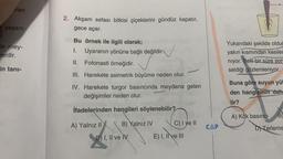 ran
2. Akşam sefası bitkisi çiçeklerini gündüz kapatır,
gece açar.
yaşam
r.
de mey-
lerdir.
Bu örnek ile ilgili olarak;
I.
Uyaranın yönüne bağlı değildir.
II. Fotonasti örneğidir.
✓
Yukarıdaki şekilde olduğ
yakın kısmından kesiler
niyor. Belli bir süre son
seldiği gözlemleniyor.
in tani-
III. Harekete asimetrik büyüme neden olur.
IV. Harekete turgor basıncında meydana gelen
değişimler neden olur.
Buna göre suyun yür
den hangisinin daha
lir?
ifadelerinden hangileri söylenebilir?
A) Kök basıncı
B
A) Yalnız II
B) Yalnız IV
C) I ve II
CAP
DNTerleme
D) I, II ve IV
E) I, II ve III