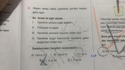 ran
2. Akşam sefası bitkisi çiçeklerini gündüz kapatır,
gece açar.
yaşam
r.
de mey-
lerdir.
Bu örnek ile ilgili olarak;
I.
Uyaranın yönüne bağlı değildir.
II. Fotonasti örneğidir.
✓
Yukarıdaki şekilde olduğ
yakın kısmından kesiler
niyor. Belli bir süre son
seldiği gözlemleniyor.
in tani-
III. Harekete asimetrik büyüme neden olur.
IV. Harekete turgor basıncında meydana gelen
değişimler neden olur.
Buna göre suyun yür
den hangisinin daha
lir?
ifadelerinden hangileri söylenebilir?
A) Kök basıncı
B
A) Yalnız II
B) Yalnız IV
C) I ve II
CAP
DNTerleme
D) I, II ve IV
E) I, II ve III
