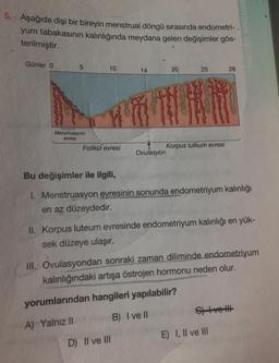5. Aşağıda dişi bir bireyin menstrual döngü sırasında endometri-.
yum tabakasının kalınlığında meydana gelen değişimler gös-
terilmiştir.
Günler 0
5
10
14
20
25
28
Menstruasyon
evresi
Folikül evresi
Korpus luteum evresi
Ovulasyon
Bu değişimler ile ilgili,
1. Menstruasyon evresinin sonunda endometriyum kalınlığı
en az düzeydedir.
II. Korpus luteum evresinde endometriyum kalınlığı en yük-
sek düzeye ulaşır.
III. Ovulasyondan sonraki zaman diliminde endometriyum
kalınlığındaki artışa östrojen hormonu neden olur.
yorumlarından hangileri yapılabilir?
G tvett
B) I ve II
A) Yalnız II
E) I, II ve III
D) II ve III