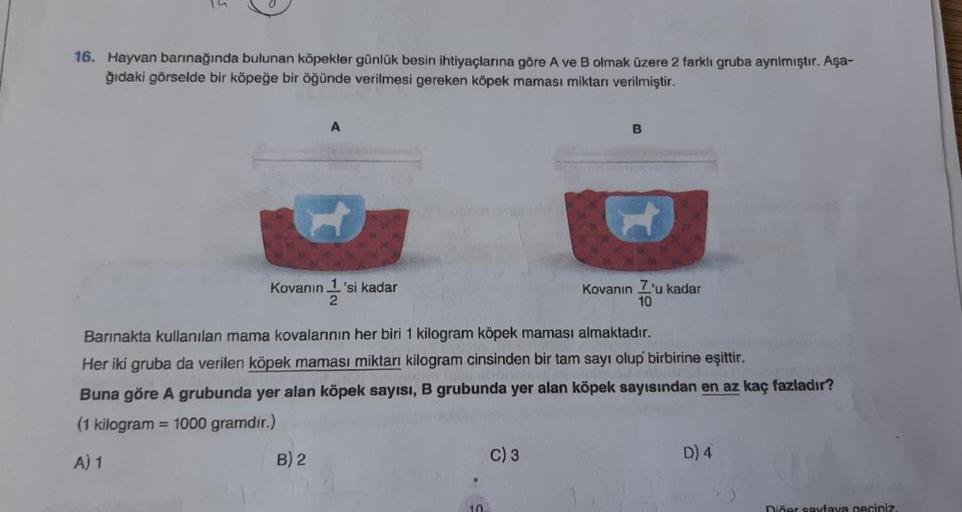 16. Hayvan barınağında bulunan köpekler g&hellip; Ortaokul Matematik