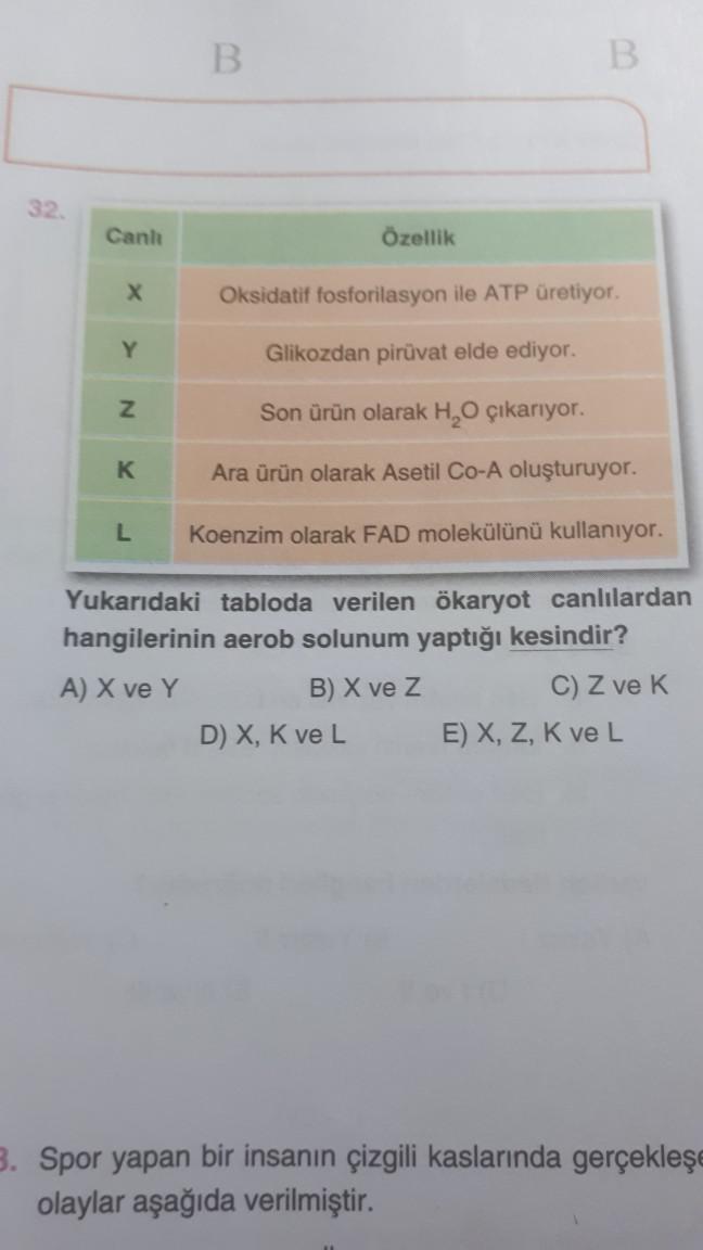 B B 32 Canh zellik X Oksidatif Fosforilasyon Ile A Biyoloji