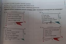 KÖŞEBILGI Y
2.
Göze ve kulağa hoş gelen, hayranlık uyandıran
"Bu ne hâl, ne tuhaf" gibi şaşma, sitem bildiren bir söz
İstenilen, beğenilen nitelikleri taşıyan, beğenilecek biçimde olan
Aşağıdaki şiirlerin hangisinde yukarıda açıklaması verilen sözcüklerden herhangi birine yer verilmemiştir?
B)
A A
Kitap en iyi arkadaş
Bana neyi sorsam söyler
Ne anlatsa en sonunda
Çalış, iyi, doğru ol der
Kuşlar uçar
Ben koşanım
Onların kanatları var
Benim kanadım kollarım
D A
Sırtında
Samur kürkün olunca
Beysin, paşasın
İlahi Nasrettin Hoca
Kürküyle yaşasın
Çayın rengi ne kadar güzel
Sabah sabah
Açık havada
Hava ne kadar güzel