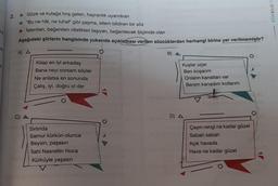 KÖŞEBILGI Y
2.
Göze ve kulağa hoş gelen, hayranlık uyandıran
"Bu ne hâl, ne tuhaf" gibi şaşma, sitem bildiren bir söz
İstenilen, beğenilen nitelikleri taşıyan, beğenilecek biçimde olan
Aşağıdaki şiirlerin hangisinde yukarıda açıklaması verilen sözcüklerden herhangi birine yer verilmemiştir?
B)
A A
Kitap en iyi arkadaş
Bana neyi sorsam söyler
Ne anlatsa en sonunda
Çalış, iyi, doğru ol der
Kuşlar uçar
Ben koşanım
Onların kanatları var
Benim kanadım kollarım
D A
Sırtında
Samur kürkün olunca
Beysin, paşasın
İlahi Nasrettin Hoca
Kürküyle yaşasın
Çayın rengi ne kadar güzel
Sabah sabah
Açık havada
Hava ne kadar güzel
