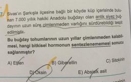 7. Sivas'ın Şarkışla ilçesine bağlı bir köyde küp içerisinde bulu-
nan 7.000 yıllık hakiki Anadolu buğdayı olan antik siyez buğ-
dayının uzun süre çimlenmeden varlığını
sürdürebildiği tespit
edilmiştir.
Bu buğday tohumlarının uzun yıllar çimlenmeden kalabil-
mesi, hangi bitkisel hormonun sentezlenememesi sonucu
sağlanmıştır?
A) Etilen
B) Giberellin
C) Sitokinin
8)
DYOksin
E) Absjeik asit
ciniz