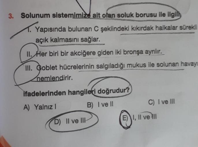 3. Solunum sistemimize ait olan soluk borusu ile ilgili
Yapısında bulunan C şeklindeki kıkırdak halkalar sürekli
açık kalmasını sağlar.
II.
Her biri bir akciğere giden iki bronşa ayrılır.
III. Goblet hücrelerinin salgıladığı mukus ile solunan havayı
nemlen