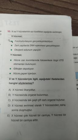 V-
10. X ve Y hücrelerinin azı özellikleri aşağıda verilmiştir.
?
X hücresi;
Fotofosforilasyon gerçekleştirilebiliyor.
• Zarlı yapılarda DNA eşlenmesi gerçekleşiyor.
• Oksijenli solunum yapıyor.
zari ve
Y hücresi;
ndek
ağli
Hücre zarı kıvrımlarında fotosenteze özgü ETS
elemanları bulunuyor.
I alım
• Glikojen depoluyor.
• Hücre çeperi içeriyor.
10
X ve Y hücreleriyle ilgili, aşağıdaki ifadelerden
hangisi söylenemez?
sid
k
A) X hücresi ökaryottur.
B) Y hücresinde organel bulunmaz.
C) X hücresinde tek çeşit çift zarli organel bulunur.
D) X hücresi evrimsel olarak Y hücresinden daha
sonra oluşmuştur.
E) X hücresi çok hücreli bir canlıya, Y hücresi bir
hücreli bir canlıya aittir.