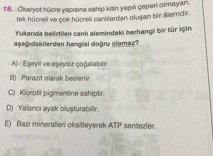 18. Ökaryot hücre yapısına sahip kitin yapılı çeperi olmayan,
tek hücreli ve çok hücreli canlılardan oluşan bir âlemdir.
Yukarıda belirtilen canlı alemindeki herhangi bir tür için
aşağıdakilerden hangisi doğru olamaz?
A) Eşeyli ve eşeysiz çoğalabilir.
B) P