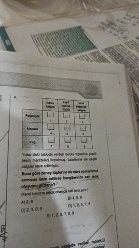 ZEL
Das
Safra
salgisi
Yeşil
yaprak
özütü
Ince
bağırsak
salgısı
Polyput
1
2
3
Nisasta
4
5
6
Yağ
7
8
9
Yukandaki tabloda verilen deney tüplerine çeşitli
besin maddeleri konulmuş, üzerlerine ise çeşitli
salgılar ilave edilmiştir.
Buna göre deney tüplerine bir