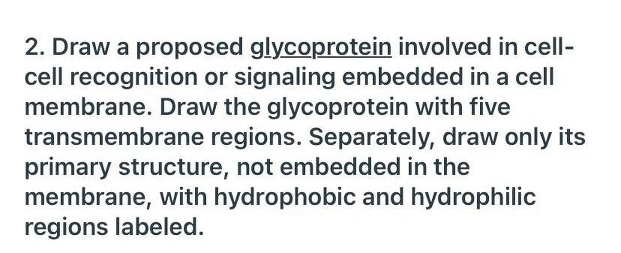 2. Draw a proposed glycoprotein involved in cell-
cell recognition or signaling embedded in a cell
membrane. Draw the glycoprotein with five
transmembrane regions. Separately, draw only its
primary structure, not embedded in the
membrane, with hydrophobic and hydrophilic
regions labeled.