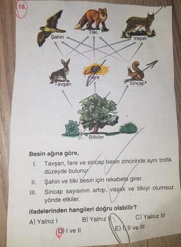 18.
Tilki
Şahin
Vaşak
Fare
Tavşan
Sincap
Bitkiler
Besin ağına göre,
1. Tavşan, fare ve sincap besin zincirinde aynı trofik
düzeyde bulunur.
II. Şahin ve tilki besin için rekabete girer.
III. Sincap sayısının artışı, vaşak ve tilkiyi olumsuz
yönde etkiler.
ifadelerinden hangileri doğru olabilir?
A) Yalnız
B) Yalnız
C) Yalnız III
I ve II
Ell ve III