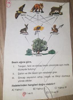 18.
Tilki
Şahin
Vaşak
Fare
Tavşan
Sincap
Bitkiler
Besin ağına göre,
1. Tavşan, fare ve sincap besin zincirinde aynı trofik
düzeyde bulunur.
II. Şahin ve tilki besin için rekabete girer.
III. Sincap sayısının artışı, vaşak ve tilkiyi olumsuz
yönde etkiler.
ifadelerinden hangileri doğru olabilir?
A) Yalnız
B) Yalnız
C) Yalnız III
I ve II
Ell ve III
