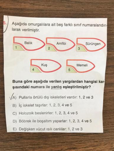 6.
Aşağıda omurgalılara ait beş farklı sinif numaralandırı
larak verilmiştir.
Balık
Amfibi
Sürüngen
1
2
3
Kuş
Memeli
4
5
Buna göre aşağıda verilen yargılardan hangisi kar
şısındaki numara ile yanlış eşleştirilmiştir?
VA) Pullarla örtülü dış iskeletleri var