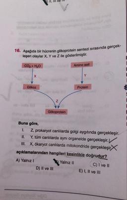 16. Aşağıda bir hücrenin glikoprotein sentezi sırasında gerçek-
leşen olaylar X, Y ve Z ile gösterilmiştir
.
CO2 + H2O
Amino asit
X
Y
Glikoz
Protein
08
N
N
Glikoprotein
Buna göre,
1. Z, prokaryot canlılarda golgi aygıtında gerçekleşir.
II. Y, tüm canlılarda aynı organelde gerçekleşir.
III. X, ökaryot canlılarda mitokondride gerçekleşir X
açıklamalarından hangileri kesinlikle doğrudur?
A) Yalnız !
Yalnız II
C) I ve 11
D) II ve III
E) I, II ve III
100