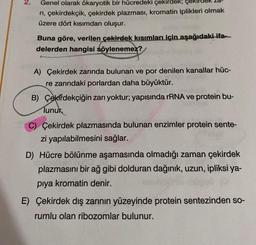 2.
Genel olarak ökaryotik bir hücredeki çekirdek; çe
ni, çekirdekçik, çekirdek plazması, kromatin iplikleri olmak
üzere dört kısımdan oluşur.
Buna göre, verilen çekirdek kısımları için aşağıdaki ifam.
delerden hangisi söylenemez?
A) Çekirdek zarında bulunan ve por denilen kanallar hüc-
re zarındaki porlardan daha büyüktür.
B) Çekirdekçiğin zarı yoktur; yapısında rRNA ve protein bu-
lunur.
C) Çekirdek plazmasında bulunan enzimler protein sente-
zi yapılabilmesini sağlar.
D) Hücre bölünme aşamasında olmadığı zaman çekirdek
plazmasını bir ağ gibi dolduran dağınık, uzun, ipliksi ya-
piya kromatin denir.
E) Çekirdek dış zarının yüzeyinde protein sentezinden so-
rumlu olan ribozomlar bulunur.