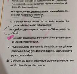 2.
Genel olarak ökaryotik bir hücredeki çekirdek; çe
ni, çekirdekçik, çekirdek plazması, kromatin iplikleri olmak
üzere dört kısımdan oluşur.
Buna göre, verilen çekirdek kısımları için aşağıdaki ifam.
delerden hangisi söylenemez?
A) Çekirdek zarında bulunan ve por denilen kanallar hüc-
re zarındaki porlardan daha büyüktür.
B) Çekirdekçiğin zarı yoktur; yapısında rRNA ve protein bu-
lunur.
C) Çekirdek plazmasında bulunan enzimler protein sente-
zi yapılabilmesini sağlar.
D) Hücre bölünme aşamasında olmadığı zaman çekirdek
plazmasını bir ağ gibi dolduran dağınık, uzun, ipliksi ya-
piya kromatin denir.
E) Çekirdek dış zarının yüzeyinde protein sentezinden so-
rumlu olan ribozomlar bulunur.
