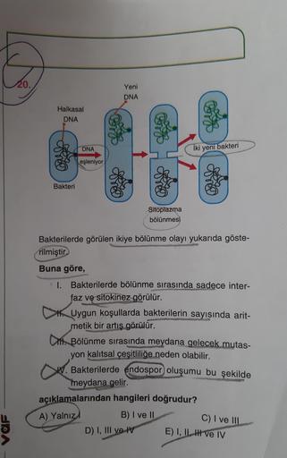 20.
Yeni
DNA
Halkasal
DNA
DNA
İki yeni bakteri
eşleniyor
Bakteri
Sitoplazma
bölünmesi
Bakterilerde görülen ikiye bölünme olayı yukarıda göste-
rilmiştir
1
Buna göre,
I.
1. Bakterilerde bölünme sırasında sadece inter-
faz ve sitokinez görülür.
Uygun koşulla