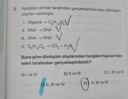 2. Aşağıda canlılar tarafından gerçekleştirilen bazı dönüşüm
olayları verilmiştir.
1. Nişasta → C6H1296
–
gov
II. DNA → DNA
III. DNA → RNA
IV. CH206 CO, +HQ
Buna göre dönüşüm olaylarından hangileri hayvan hüc-
releri tarafından gerçekleştirilebilir?
A) I ve IV
B) II ve III
C) I, III ve IV
D) II, III ve IV
E), II, III ve IV
