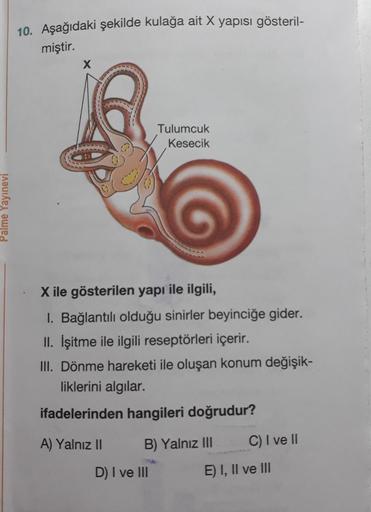10. Aşağıdaki şekilde kulağa ait X yapısı gösteril-
miştir.
X
Tulumcuk
Kesecik
Palme Yayınevi
X ile gösterilen yapı ile ilgili,
I. Bağlantılı olduğu sinirler beyinciğe gider.
II. İşitme ile ilgili reseptörleri içerir.
III. Dönme hareketi ile oluşan konum d