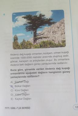 6.
Akdeniz dağ kuşağı ormanları; kızılçam, orman kuşağı
üzerinde 1000-2000 metreler arasında oluşmuş sedir,
göknar, karaçam ve ardıçlardan oluşur. Bu ormanlara
Akdeniz'deki dağların güney yamaçlarında rastlanılır.
Buna göre, görselde verilen Akdeniz dağ kuşağı
ormanlarına aşağıdaki dağların hangisinin güney
yamaçlarında rastlanılır?
A) Süphan Dağı
B) Bolkar Dağları
C) Küre Dağları
D) Yildiz Dağları
E) Kaçkar Dağları
TYT / GNL-7 (A SERİSİ)
12