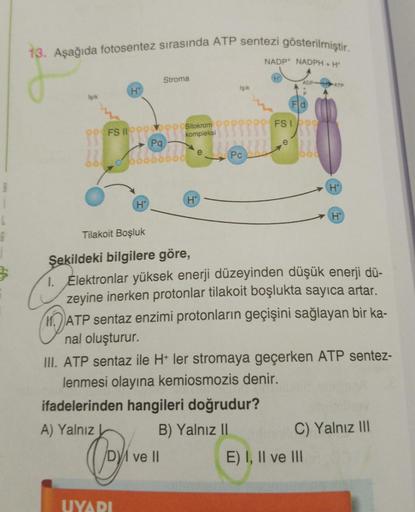 13. Aşağıda fotosentez sırasında ATP sentezi gösterilmiştir.
NADP+ NADPH+H*
Stroma
ADP
-ATP
H
Işık
işik
Fid
FS 1
OO FS II
Sitokrom
kompleksi
Pa
c
82
560056
Pc
H
H*
H
H
Tilakoit Boşluk
6
i
Şekildeki bilgilere göre,
1. Elektronlar yüksek enerji düzeyinden dü