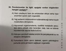 36. Peroksizomlar ile ilgili, aşağıda verilen bilgilerden
hangisi yanlıştır?
A) Hem oksitleyici hem de antioksidan etkiye sahip bazı
enzimleri içeren zarlı organeldir.
B) Yağ asitlerini mitokondrinin kullanabileceği daha küçük
moleküllere dönüştürür.
E
C) Hayvansal organizmalarda, özellikle metabolik aktivi-
tesi daha yüksek olan karaciğer, kalp, kas ve böbrek
hücrelerinde sayıca fazla bulunur.
D) Hidrojen peroksiti katalaz enzimi ile parçalayarak su ve
oksijene dönüştürür.
E) Yumurtanın birim zarini delerek, sperm çekirdeğinin
yumurta içine girmesini sağlayan organeldir.
www.us ulus.com