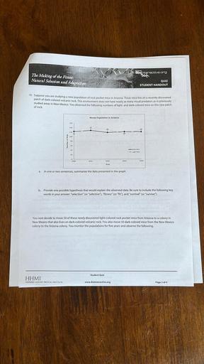 EVEN
BloInteractive.org
The Making of the Fittest:
Natural Selection and Adaptation
QUIZ
STUDENT HANDOUT
10. Suppose you are studying a new population of rock pocket mice in Arizona, These mice live on a recently discovered
patch of dark-colored volcanic rock. This environment does not have nearly as many visual predators as in previously
studied areas in New Mexico. You observed the following numbers of light and dark-colored mice on this new patch
of rock.
Mouse Population in Arizona
160
140
120
100
Number of Mice
80
60
40
Dark Mice
Ought Mice
20
0
2000
2001
2002
2003
2004
Year
a.
In one or two sentences, summarize the data presented in the graph.
b. Provide one possible hypothesis that would explain the observed data. Be sure to include the following key
words in your answer: "selection" (or "selective"), "fitness" (or "fit"), and "survival" (or "survive").
You next decide to move 50 of these newly discovered light-colored rock pocket mice from Arizona to a colony in
New Mexico that also lives on dark-colored volcanic rock. You also move 50 dark-colored mice from the New Mexico
colony to the Arizona colony. You monitor the populations for five years and observe the following.
Student Quiz
HHMI
HOWARD HUGHES MEDICAL INSTITUTE
www.Biolnteractive.org
Page 3 of 4