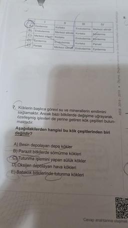 9
11
11
IV
AY Epidermis Korteks
Endodermis Merkezi silindir
B). Endodermis Merkezi silindit Korteks spidermis
C) Merkezi silindir Korteks
Endodermis Foldermis
P) Epiels Endodermis Korteks
Periski
EX Periski Merkezi silindi Endodermis Epidermis
MEB 2018 - 2019 • Olme. Degorien
7. Köklerin başlıca görevi su ve minerallerin emilimini
sağlamaktır. Ancak bazı bitkilerde değişime uğrayarak,
özelleşmiş işlevleri de yerine getiren kök çeşitleri bulun-
maktadır.
Aşağıdakilerden hangisi bu kök çeşitlerinden biri
değildir?
A) Besin depolayan depo kökler
B) Parazit bitkilerde sömürme kökleri
C) Tutunma işlemini yapan sülük kökler
D) Oksijen depolayan hava kökleri
E) Bataklik bitkilerinde tutunma kökleri
Siri
Cevap anahtarına ulaşmak