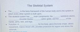 The Skeletal System
The is the bony framework of the human body and is the system in
which every other system is built upon.
• The skeletal system has main components: the vertebral column,
shoulder blades, pelvic girdle, and the of the
hands, arms, feet,
