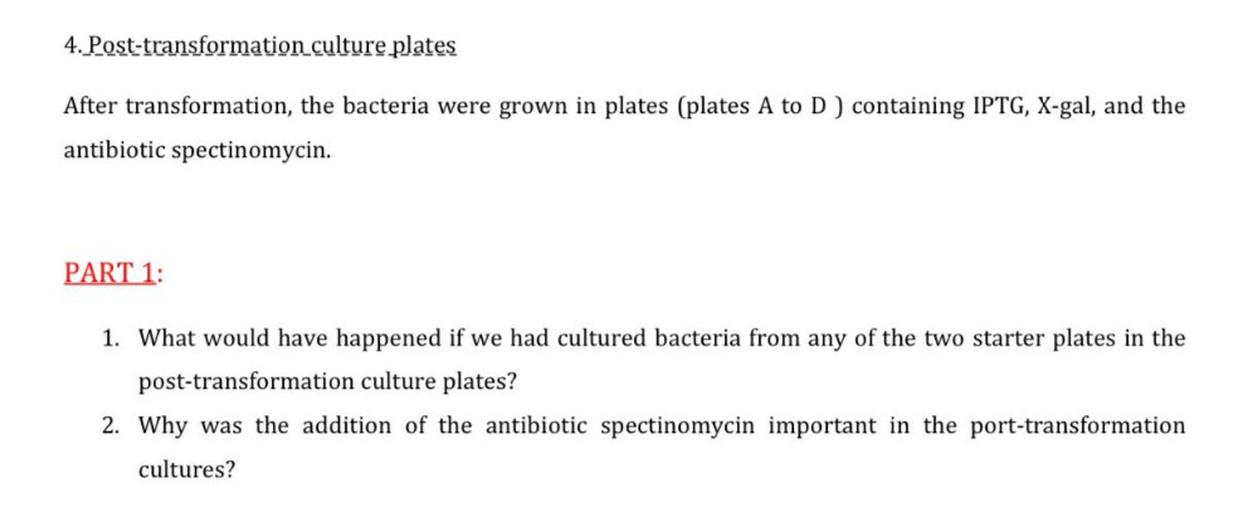4. Post-transformation culture plates
After transformation, the bacteria were grown in plates (plates A to D) containing IPTG, X-gal, and the
antibiotic spectinomycin.
PART 1:
1. What would have happened if we had cultured bacteria from any of the two starter plates in the
post-transformation culture plates?
2. Why was the addition of the antibiotic spectinomycin important in the port-transformation
cultures?
