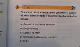 las-
4
SORU
ilen
Ökaryot bir hücrede hücre zarının yenilenmesi sürecin-
de kural olarak aşağıdaki organellerden hangisi görev
almaz?
A) Granüllü endoplazmik retikulum
B) Golgi cisimciği
ve
C) Serbest ribozom
n-
D) Granülsüz endoplazmik retikulum
E) Koful
